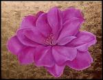 roshan flowers camellia img110